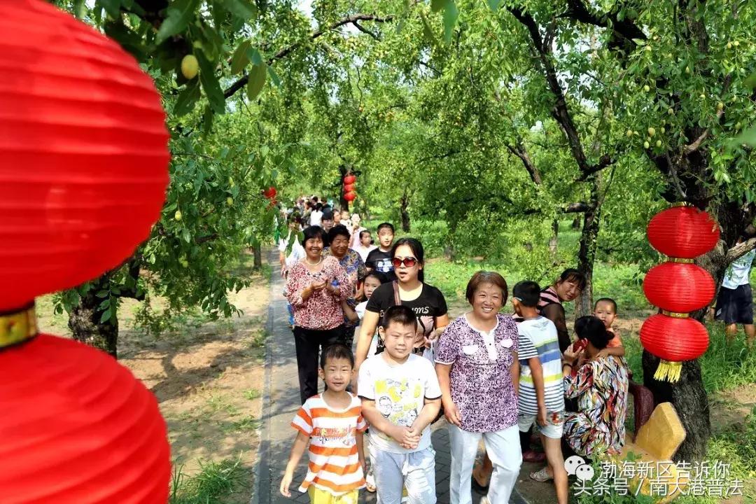 全域旅游河北,沧州渤海新区旅游免费海边