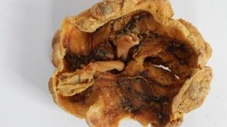 中药材紫河车功效,中药材紫河车切片