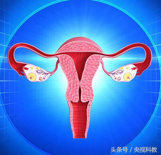 妇科肿瘤最严重的癌,发病率最高的妇科癌症