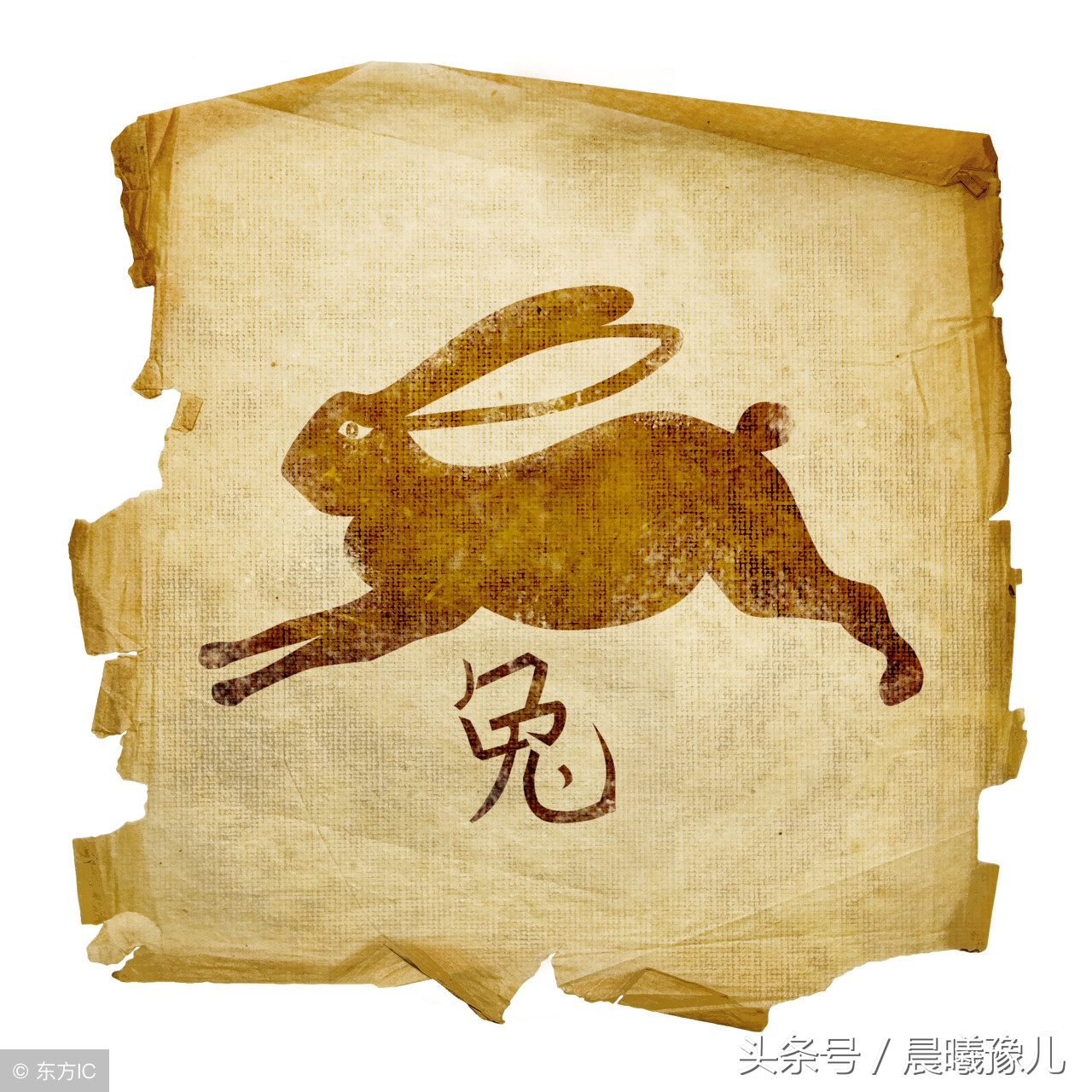 12生肖的人的缺点,12生肖性格优缺点