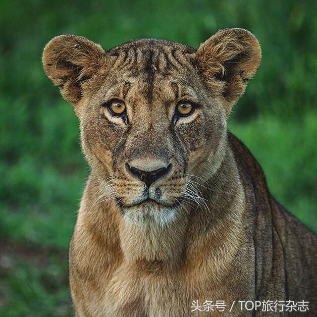 包吃包住包机票出国打工,包吃包住包接送旅游