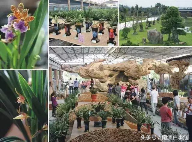汕头旅游景点推荐第一名,汕头文物保护单位旅游景点推荐