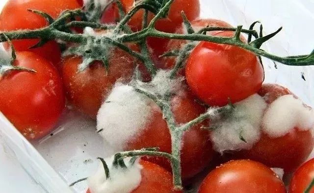 发霉食物伤肾、致癌，去掉坏的还能吃？