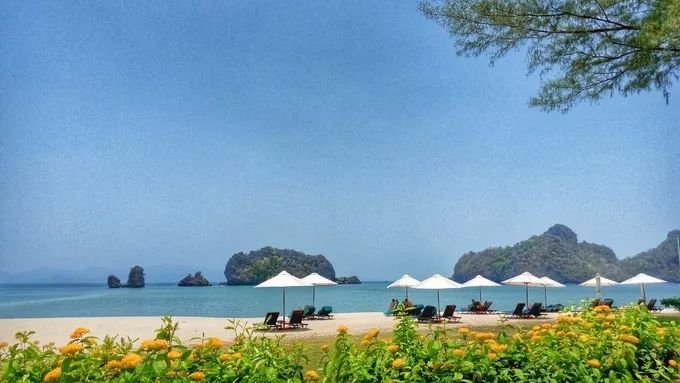 李茶的姑妈海景大别墅,李茶的姑妈在马来西亚