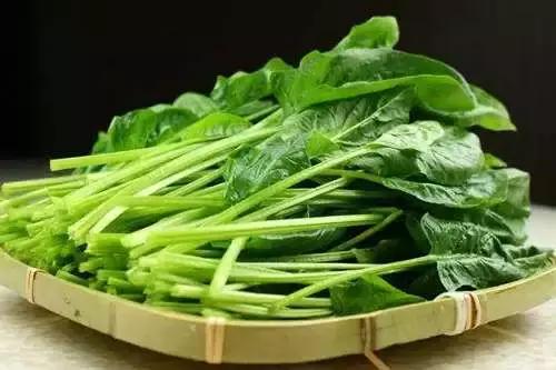 经常抖腿吃什么药,爱抖腿是个什么表现