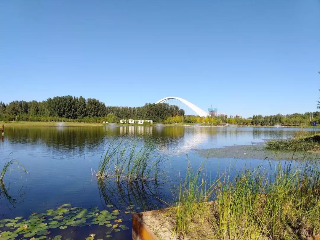 最好的自然教育,自然教育让孩子融入自然