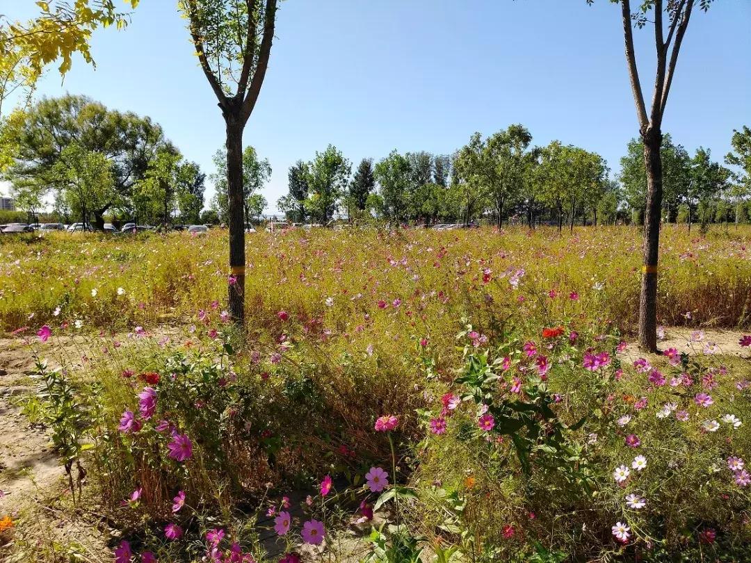 最好的自然教育,自然教育让孩子融入自然