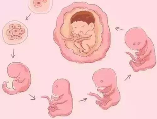 家长性教育要趁早,家长必读儿童心理学