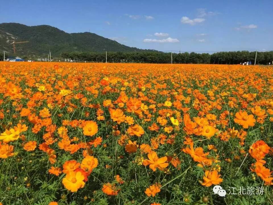 了解宁波：带你玩转江北