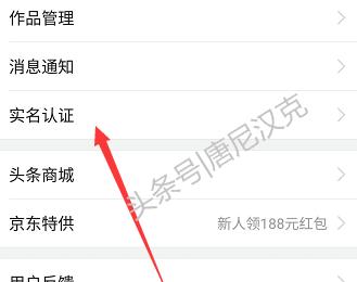 头条号实名认证需要人脸识别吗,头条实名认证检测不到脸