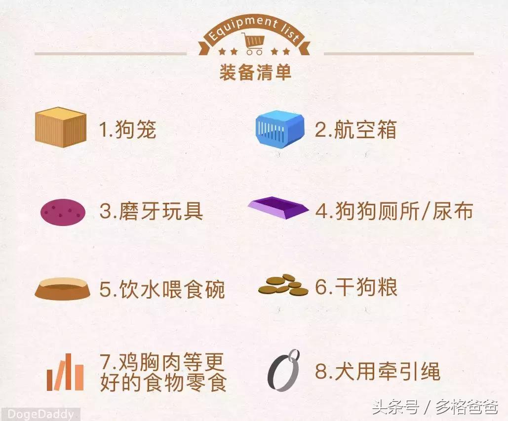 犬舍买狗需要关注什么问题和细节,买幼犬要关注哪些