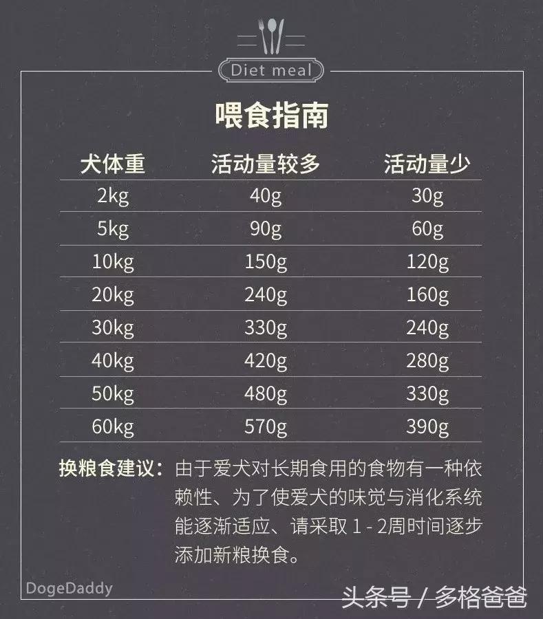 犬舍买狗需要关注什么问题和细节,买幼犬要关注哪些