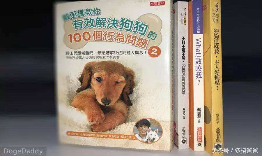 犬舍买狗需要关注什么问题和细节,买幼犬要关注哪些