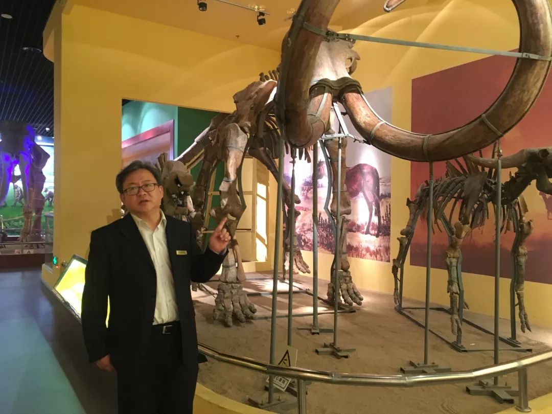 甘肃省博物馆大咖说,博物馆大咖说河南