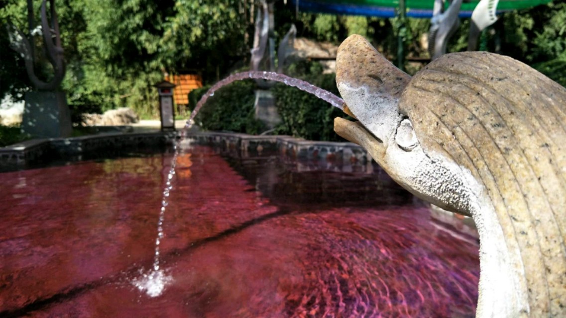 相约凤翔温泉,凤翔温泉最美