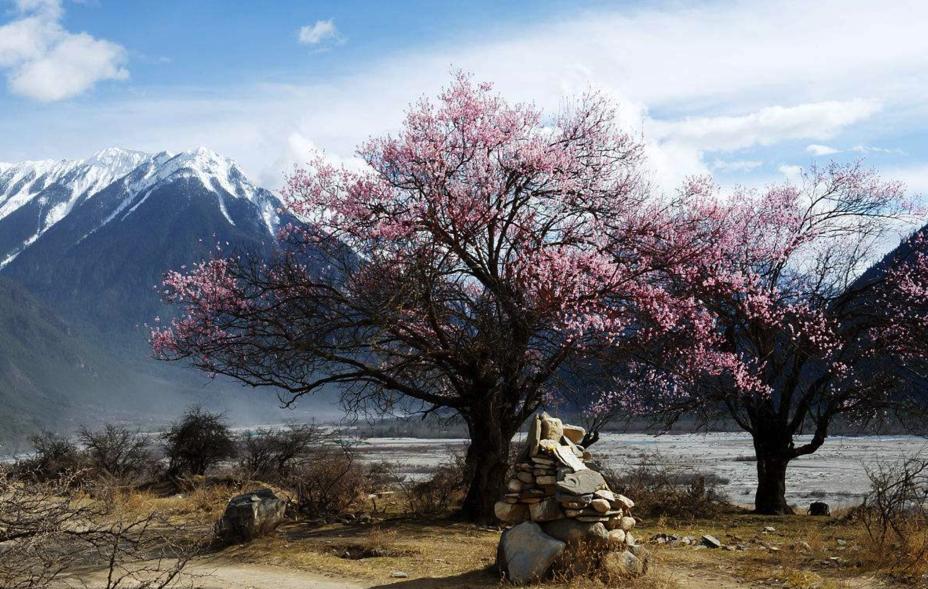 林芝的气候特点是什么,林芝属于季风气候区吗