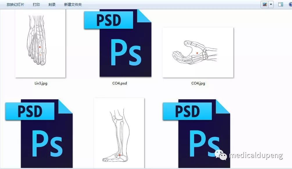 医学插画插图,医学插画sci