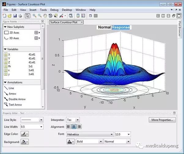 医学插画插图,医学插画sci
