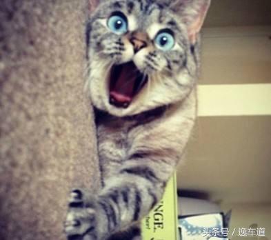 宝马m4发现问题怎么解决,宝马m4关注事项