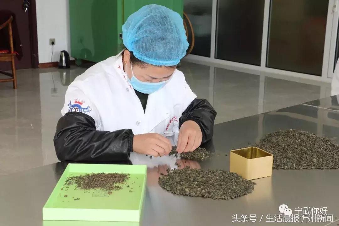 瀹佹鍘挎壎璐啘涓氬紑鍙戝尯,瀹佹鎵惰传鍐滀笟鍥尯