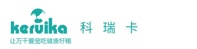 宠物寄养四大关注事项,宠物寄养关注事项和禁忌