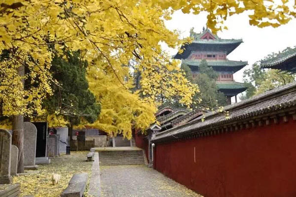 河南秋天最美红叶景区,河南最美红叶路线