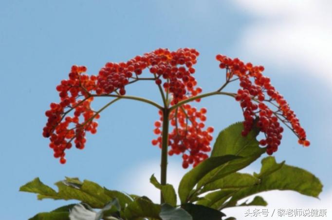 中医推荐4个妙招缓解膝盖疼,老中医治疗膝盖疼的特效药