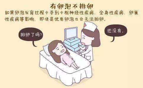有大卵泡但是不排卵该怎么办,有卵泡成熟不排卵怎么办