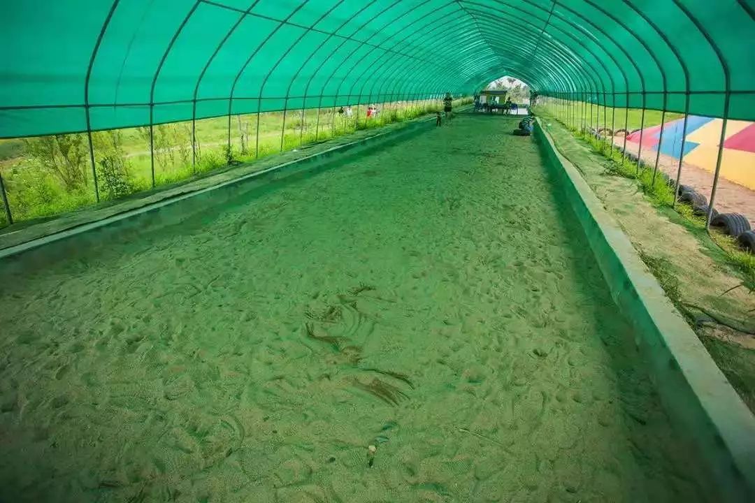 亲子网红庄园,网红亲子农庄在哪里