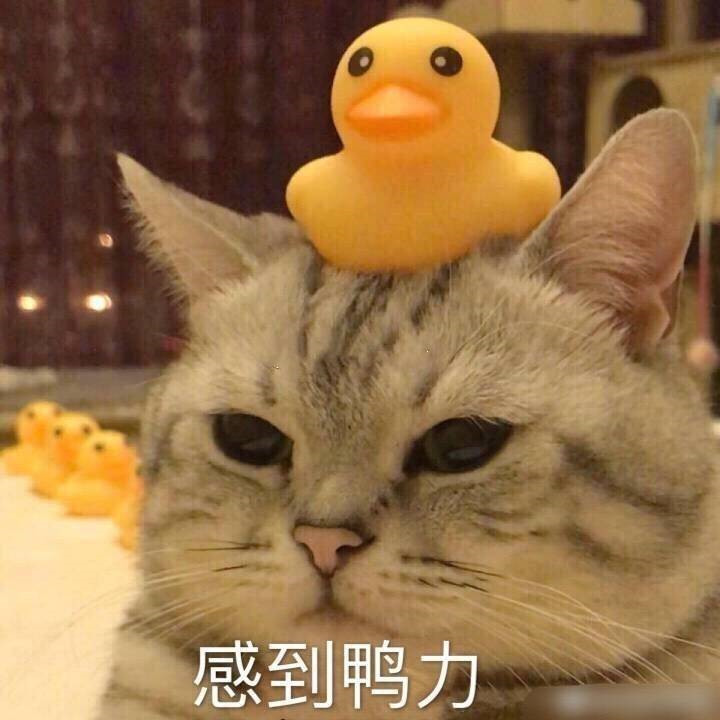 断网故障分析及处理,tomcat高并发调优详解