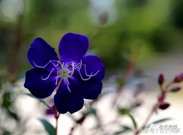 课堂上没听懂老师讲了怎么办,学生听不懂老师讲课该怎么办