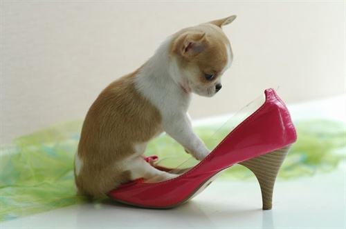 抑郁症严重的患者多久才能治愈,抑郁症到底要不要吃药治疗