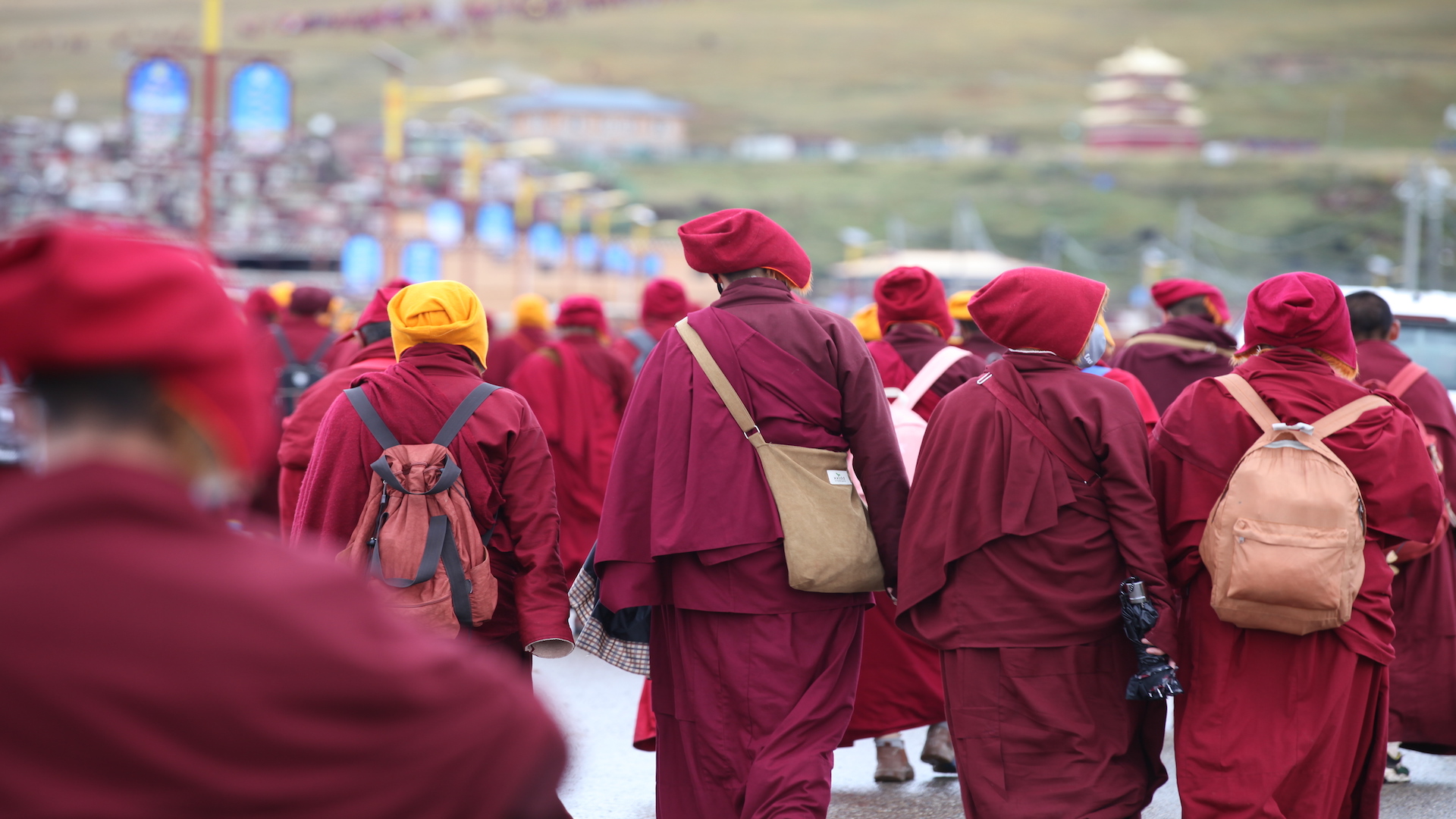 马蜂窝：我曾是你的忠实粉丝，但是你让我失望了！