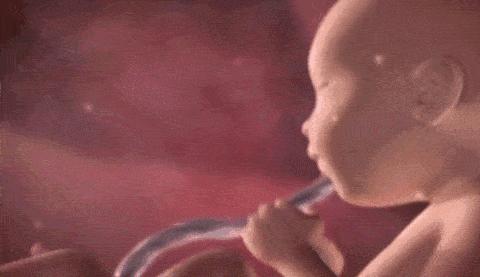 怀孕4个月可以感觉到胎动吗,怀孕4个月感觉到胎动正常吗