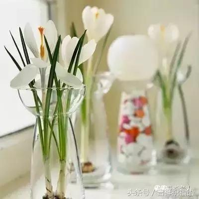 早上好一首带音乐的歌,早上好一首好听的歌分享给朋友们