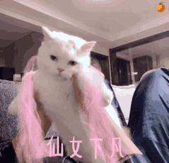 不想化妆但想拥有好气色？这7支口红满足你的要求！