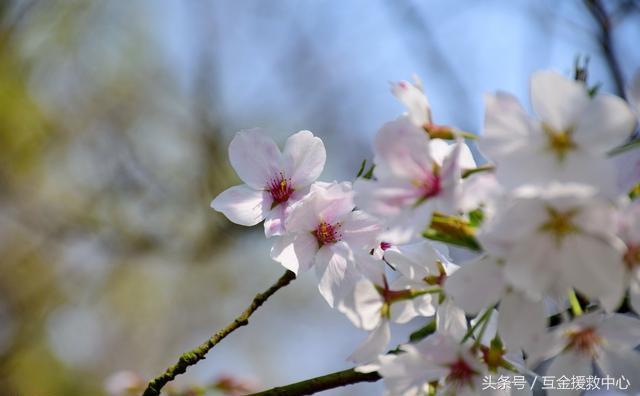 借钱不还的人心理,借钱的人不还钱心里是怎么想的