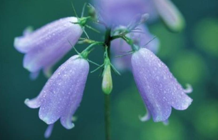 善待没脾气的人,做人要善待每一个人