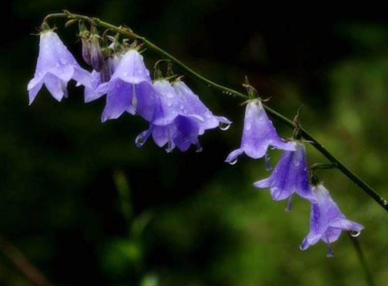 善待没脾气的人,做人要善待每一个人