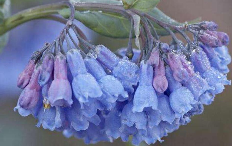 善待没脾气的人,做人要善待每一个人