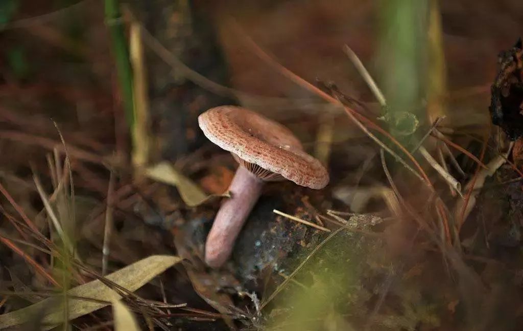 宜兴精致好吃又风景好的地方,宜兴最美的地方和美食