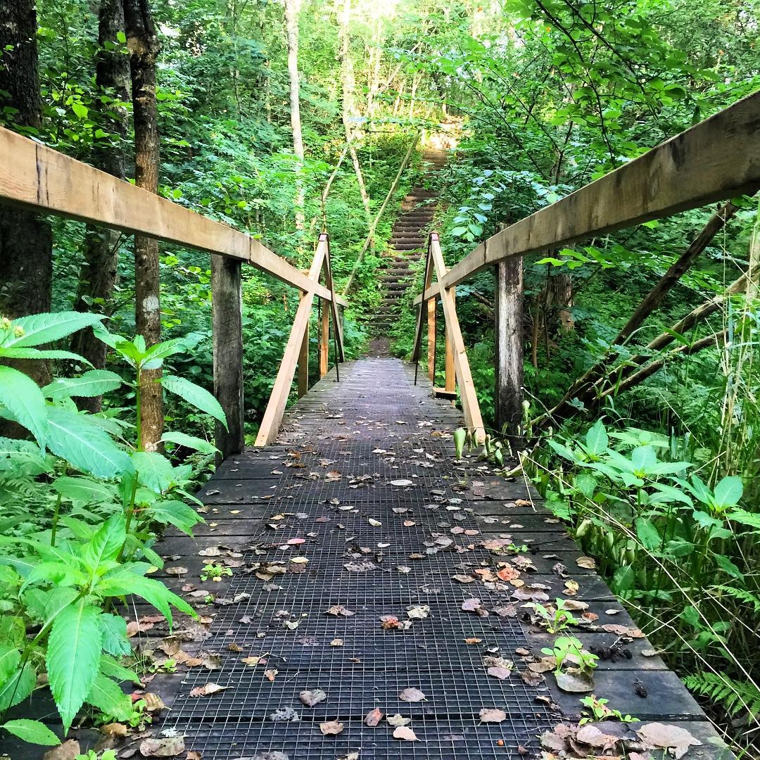 没有动力是怎么鼓励自己的,当你发现怎么努力也没有用的时候