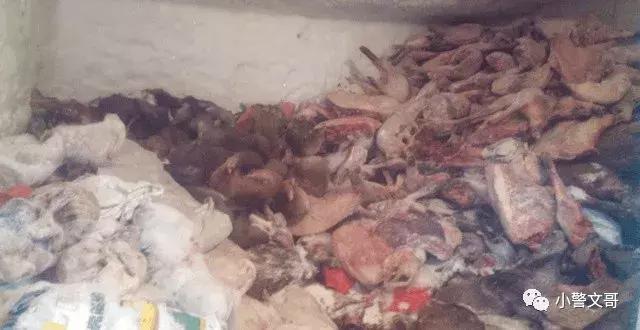 普通野鸡会犯法么,把野鸡弄死会坐牢吗