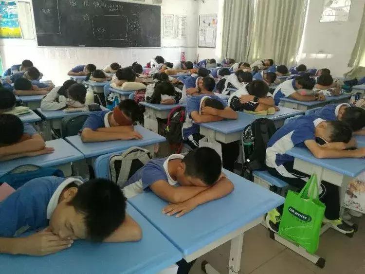 30554名学生！47所学校！聚焦午餐午休，深圳龙岗娃吃什么？