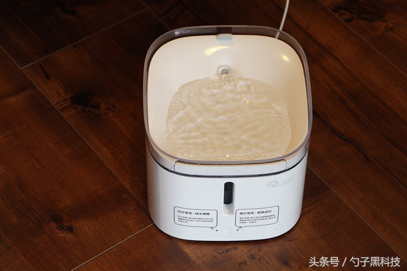 你知道为什么家中的猫狗总喜欢去马桶里喝水吗？原来问题在这里！