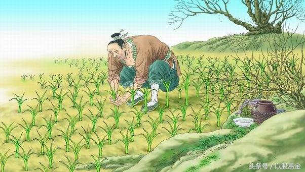 严格执行退市制度,退市制度最新政策