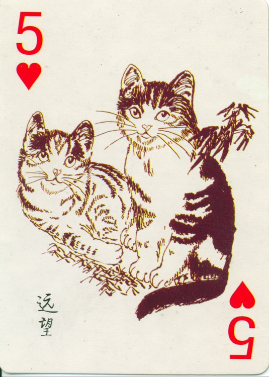 猫谱扑克欣赏,明星扑克牌欣赏
