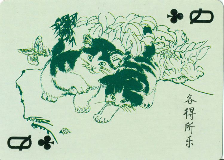 猫谱扑克欣赏,明星扑克牌欣赏