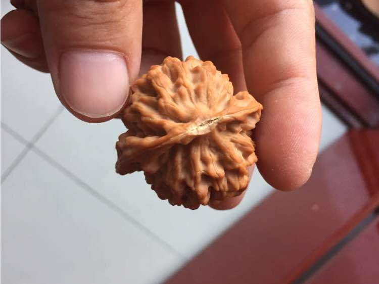 文玩核桃不平整修一下,文玩核桃蛤蟆头黄尖