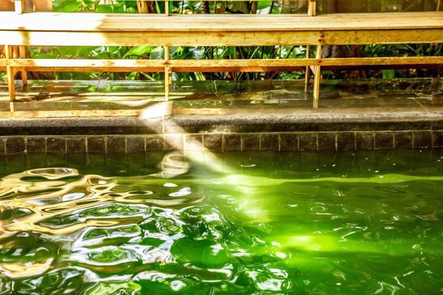 鑽疯姳鍙ら晣鑵惧啿,鑵惧啿鑽疯姳鍙ら晣